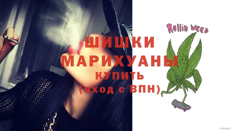 где найти   Гагарин  Шишки марихуана OG Kush 